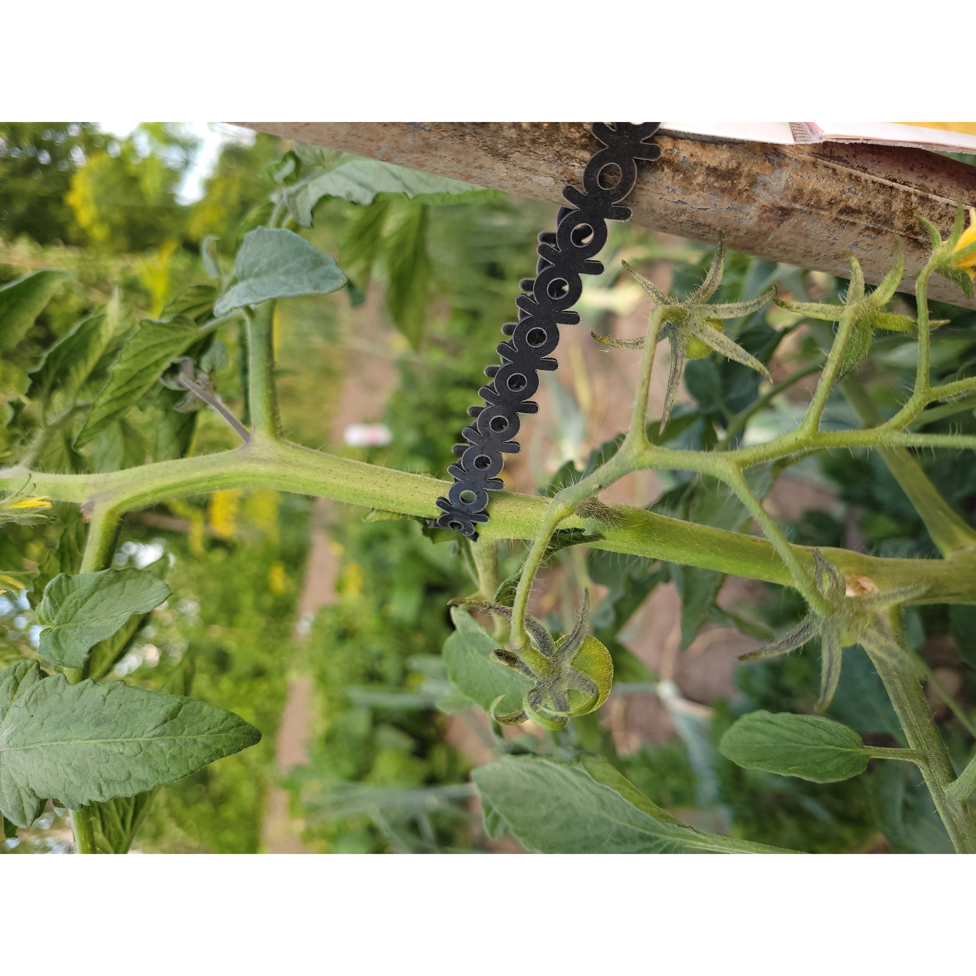 Buntband Jabo Agrimpex Svart 10-pack