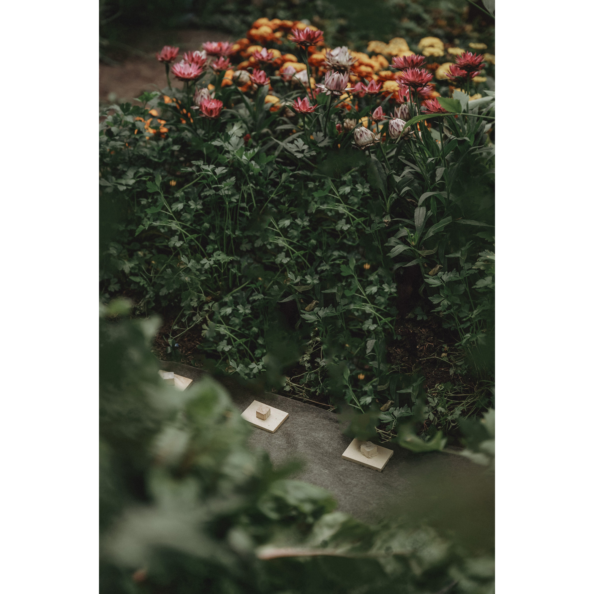 Markhållare Jabo Agrimpex Trä 10-pack