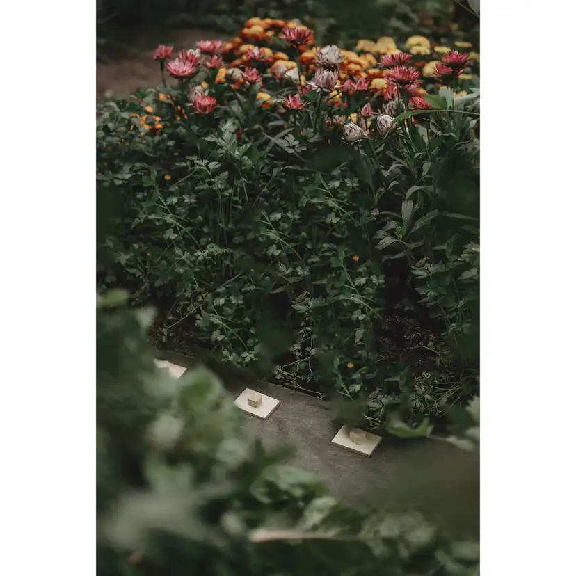 Markhållare Jabo Agrimpex Trä 10-pack