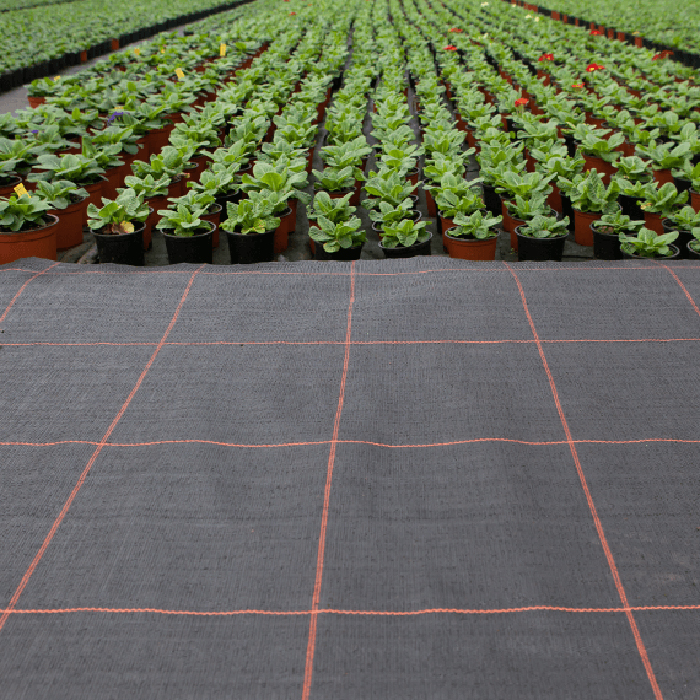 Markduk Jabo Agrimpex Argola 2x10 m Svart