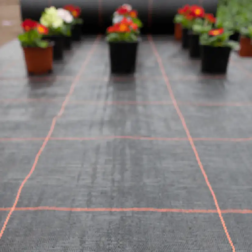 Markduk Jabo Agrimpex Argola 2x10 m Svart