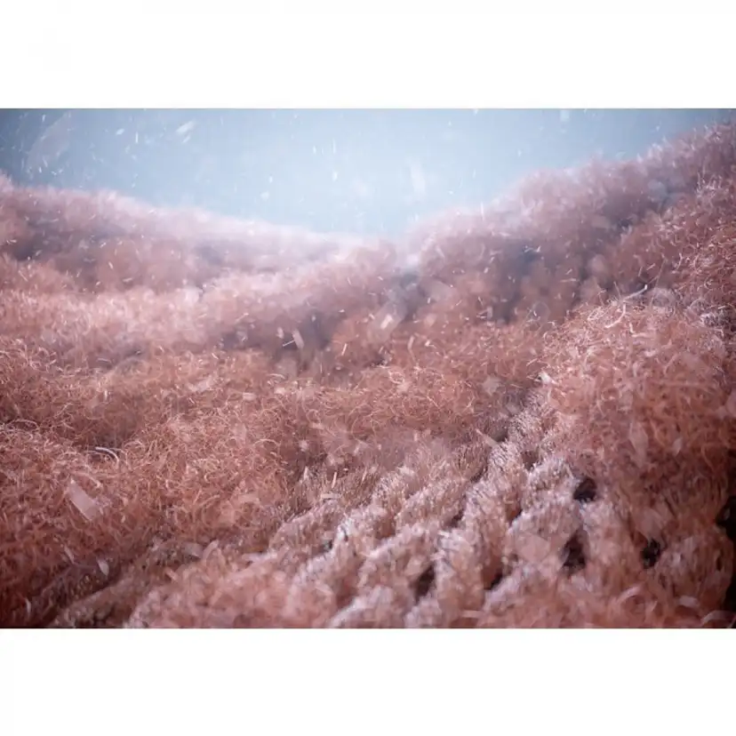 Mikroplastfilter Electrolux E9WHMIC1