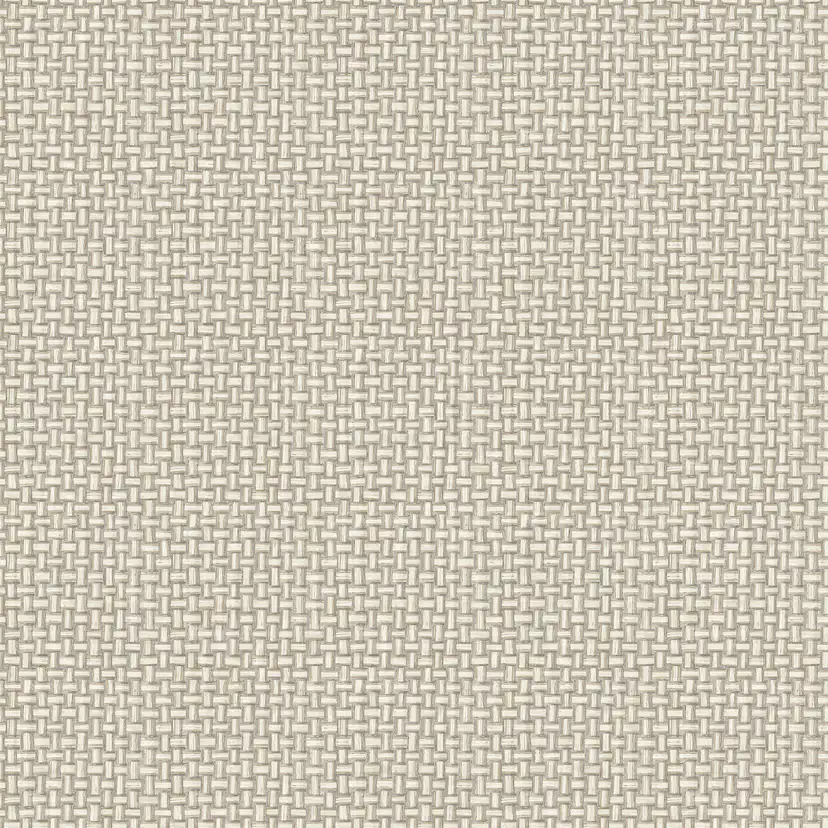 Tapet Holden The Lost Gardens Biderbost Weave Cream 91600