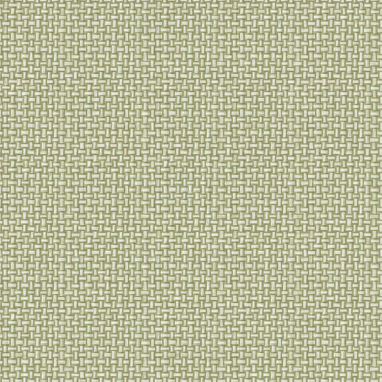 Tapet Holden The Lost Gardens Biderbost Weave Green 91601