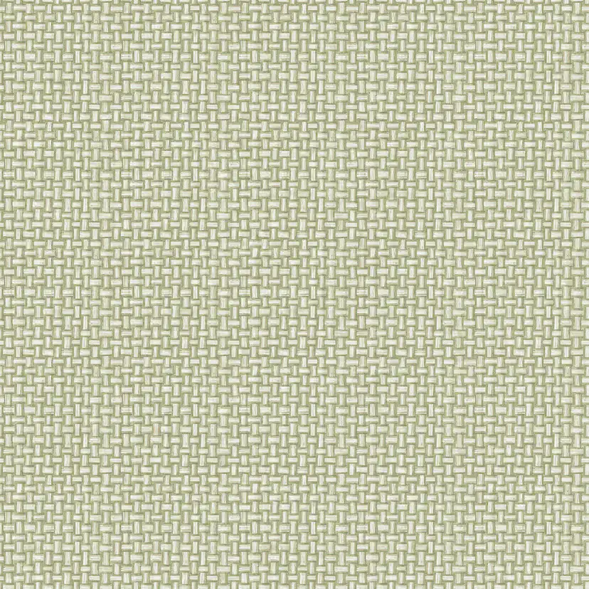 Tapet Holden The Lost Gardens Biderbost Weave Green 91601