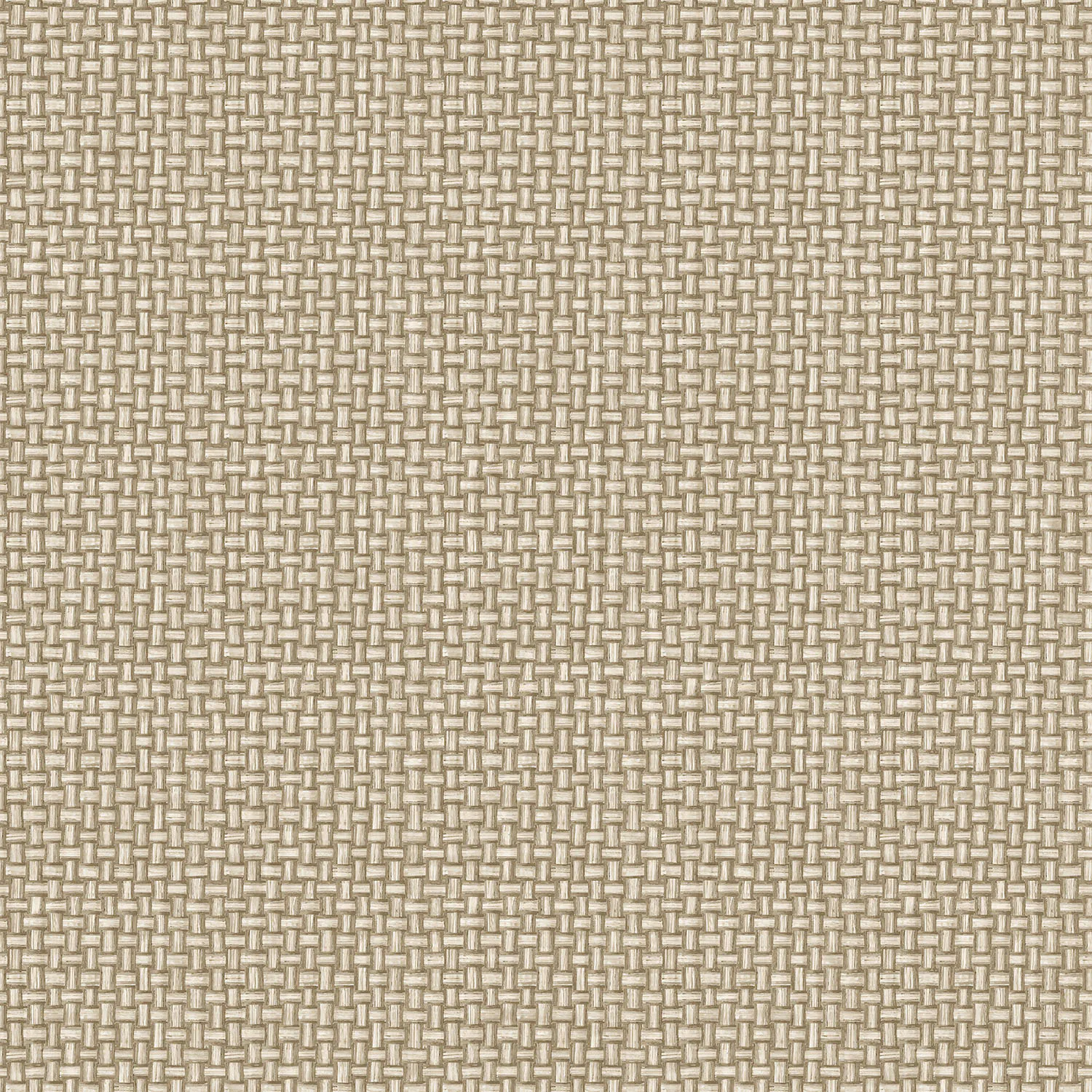Tapet Holden The Lost Gardens Biderbost Weave Beige 91602