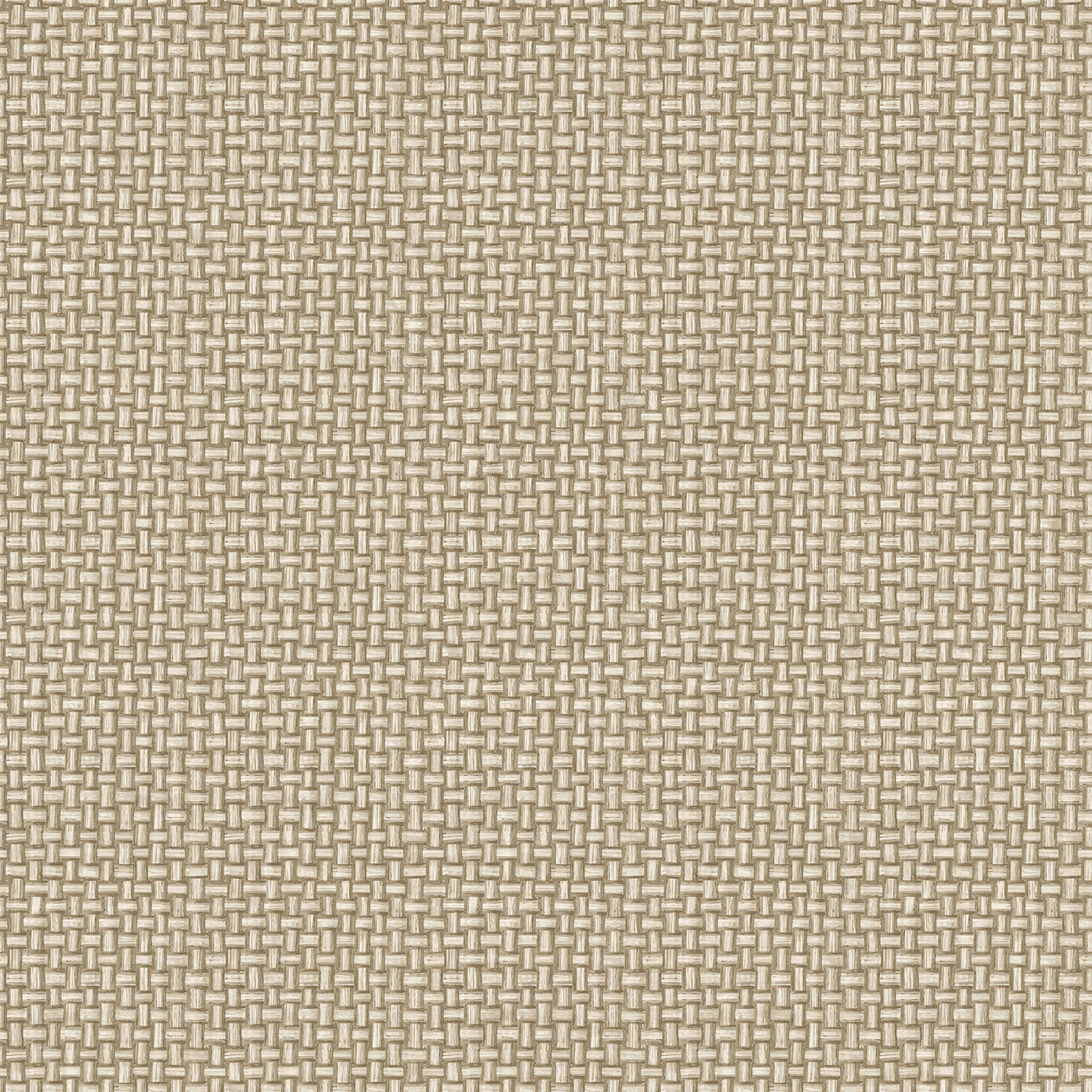 Tapet Holden The Lost Gardens Biderbost Weave Beige 91602
