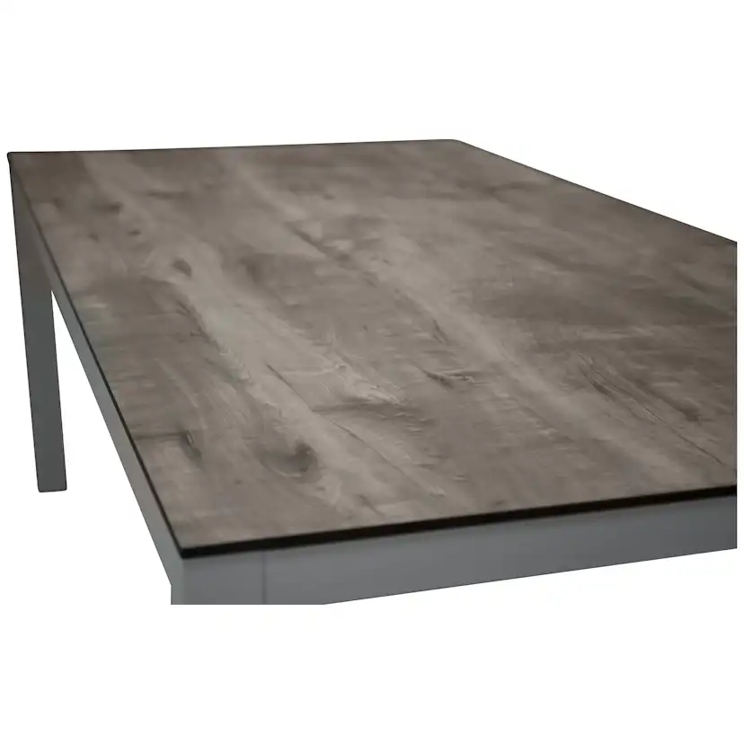 Utebord Venture Home Llama