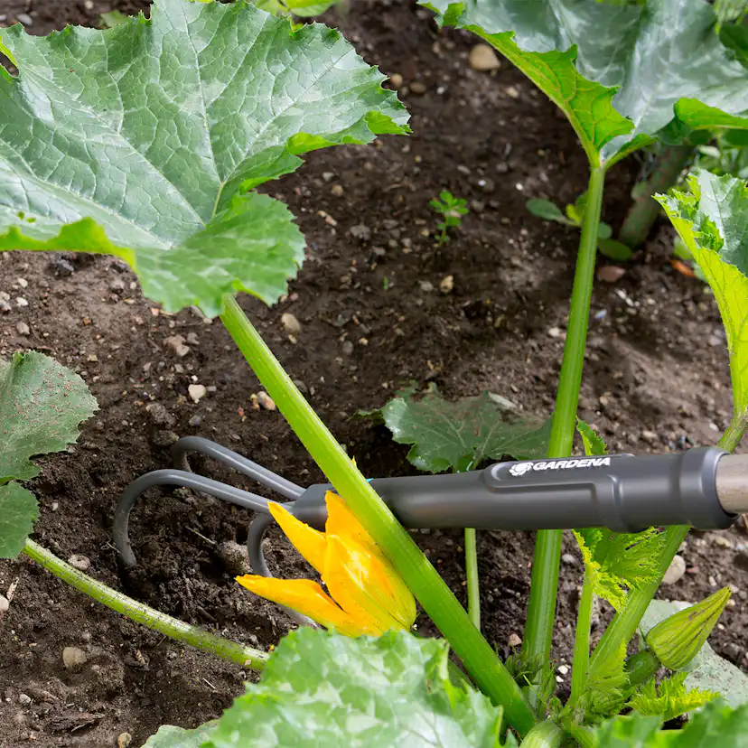 Luckrare Gardena NatureLine