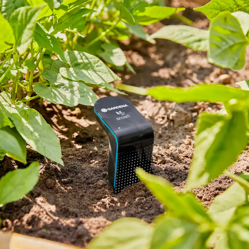 Smart Sensor Gardena