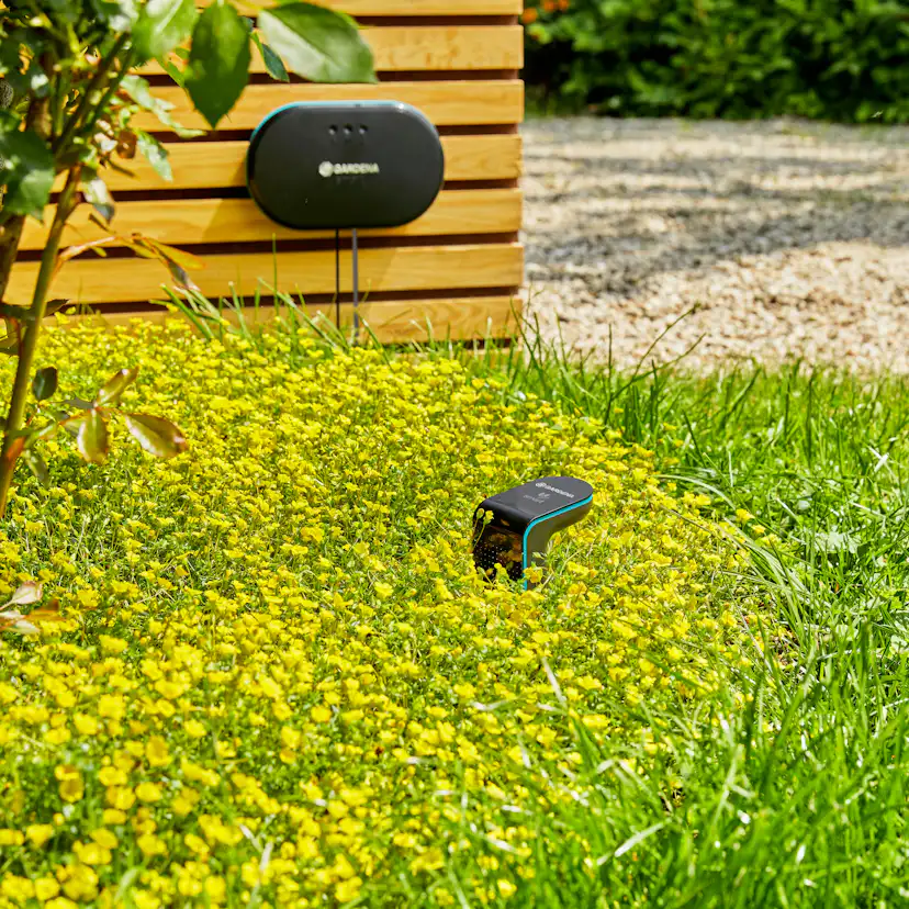 Smart Kontrollpanel Gardena 24V set med Sensor & Gateway