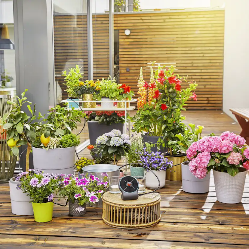 Semesterbevattning Gardena AquaBloom Set