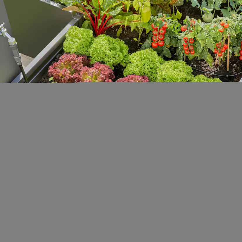 Droppslang Gardena Micro-Drip Set 25 m Ovan och Under Jord