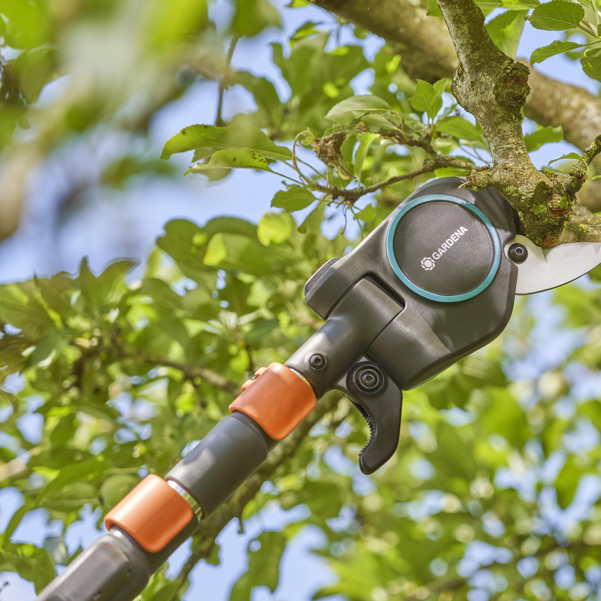 Toppsax Gardena StarCut Pro L