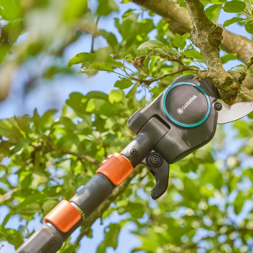 Toppsax Gardena StarCut Pro L