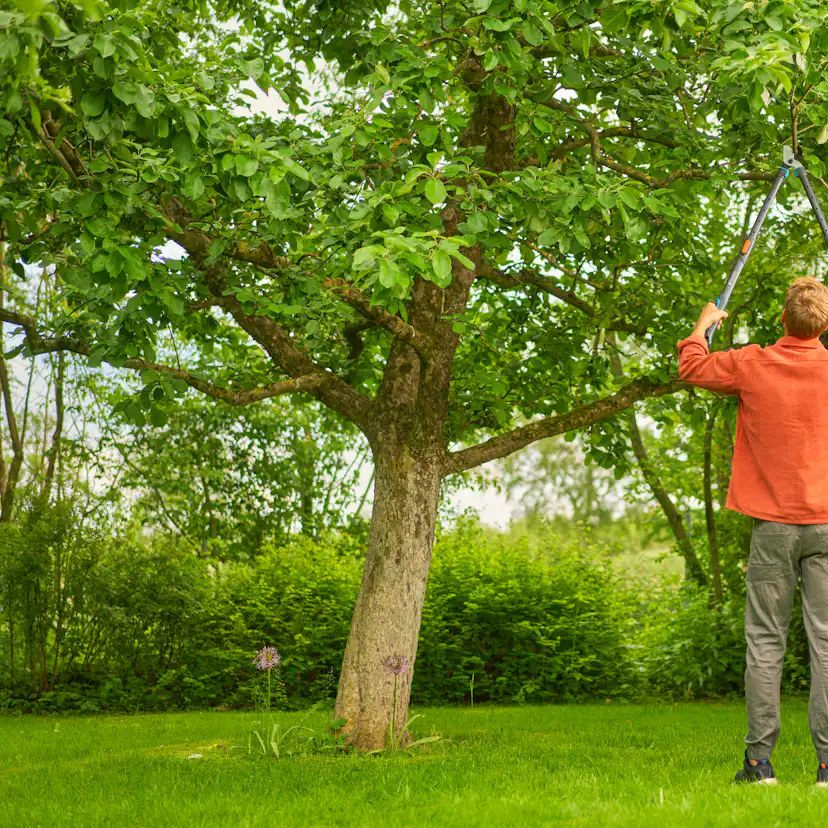 Grensax Gardena TeleCut Pro L Teleskopisk