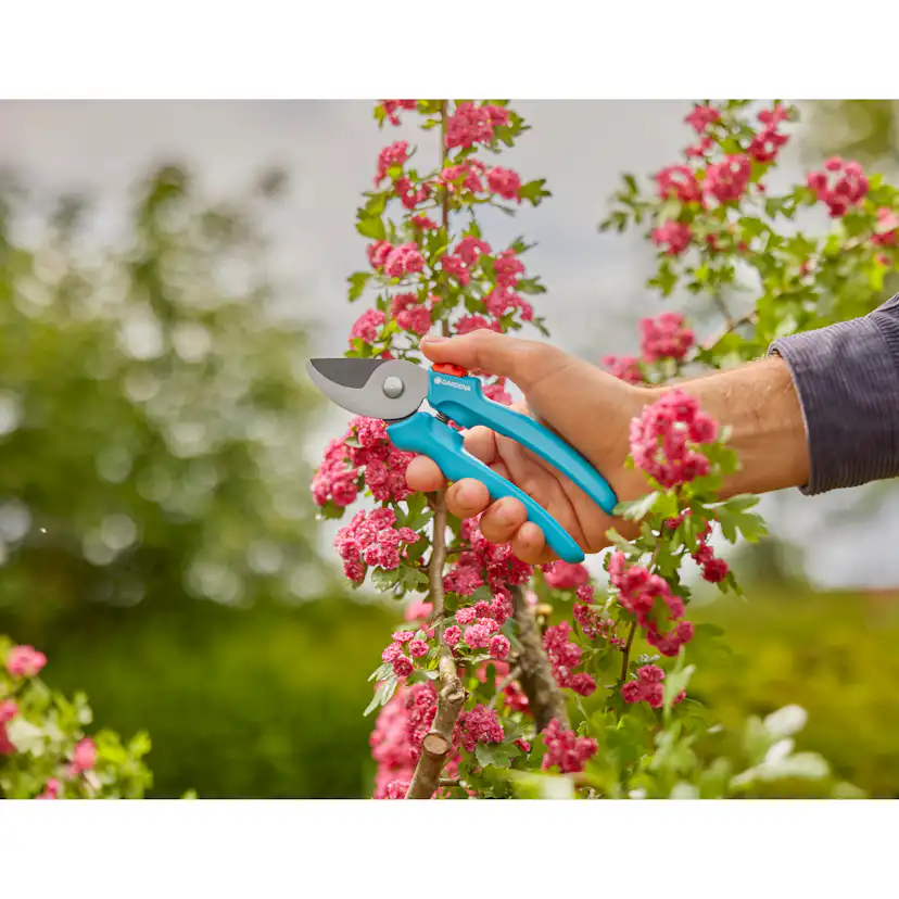 Sekatör Gardena EasyCut