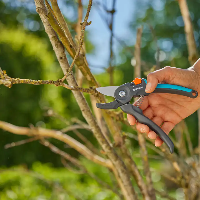 Sekatör Gardena PremiumCut Mothåll