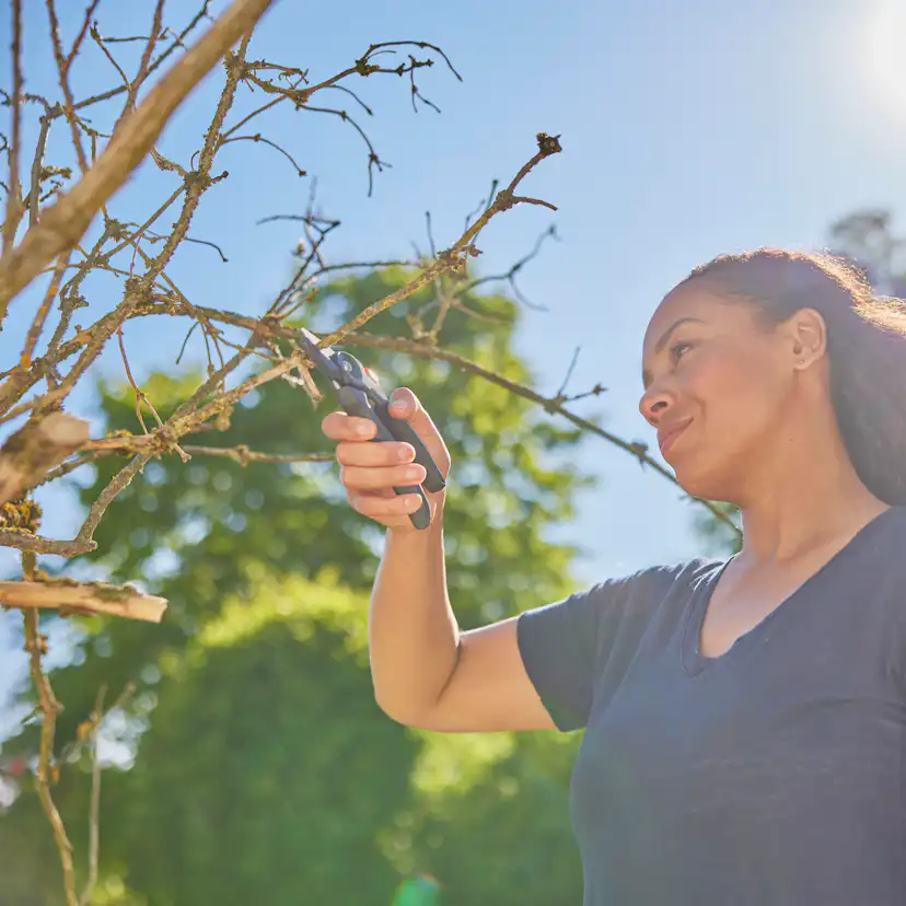 Sekatör Gardena PremiumCut Mothåll