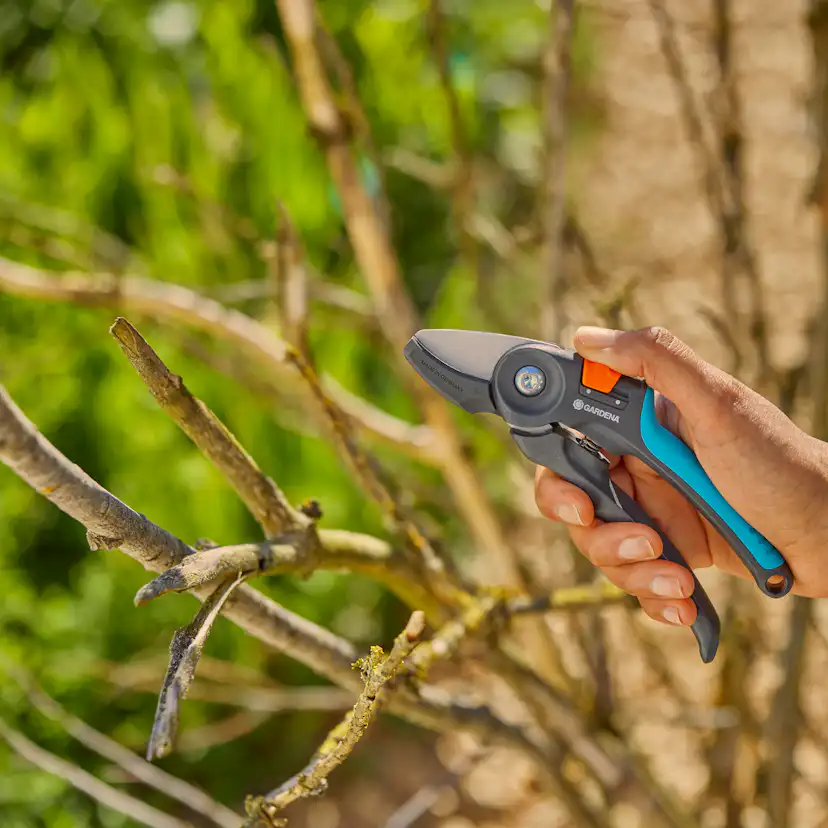 Sekatör Gardena PremiumCut Mothåll