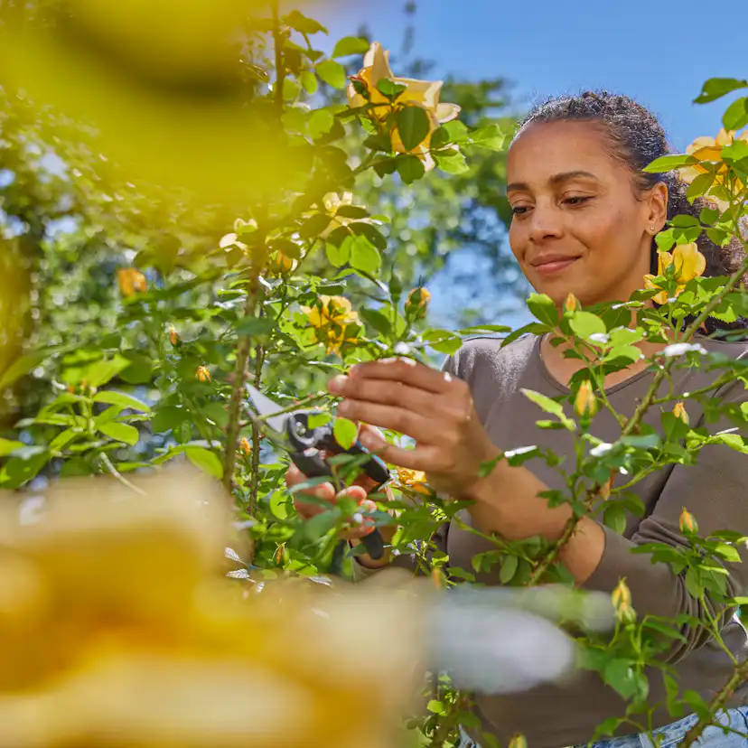 Sekatör Gardena PremiumCut Flex