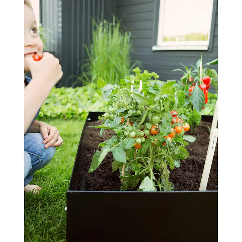 Odlingskrage Jabo Odla