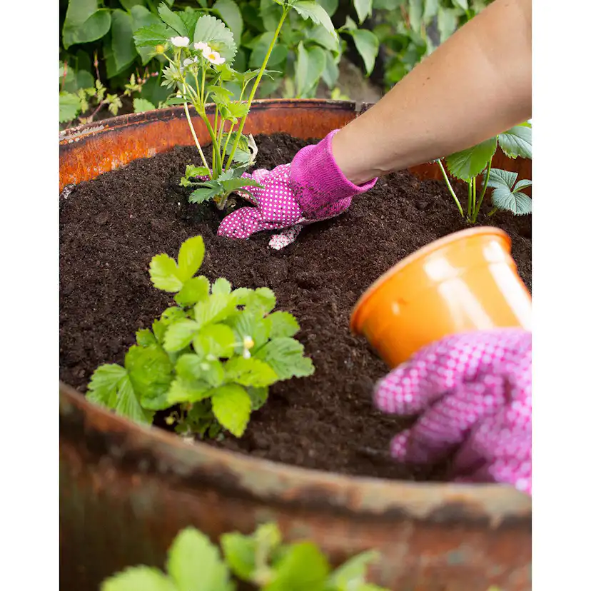 Odlingskrage Jabo Odla Rund