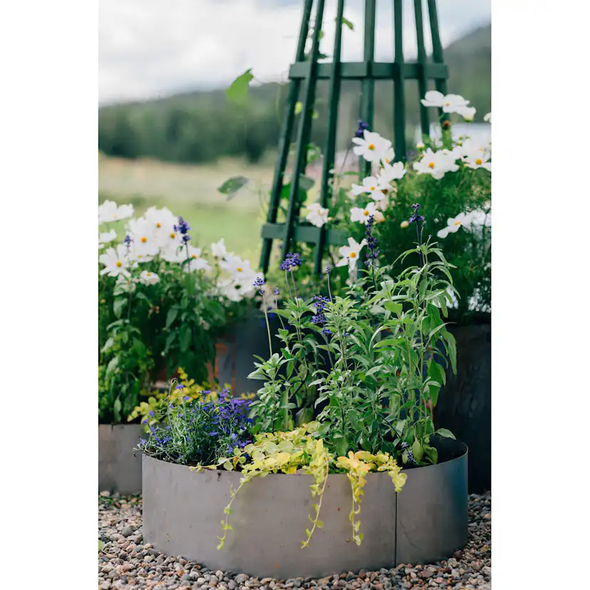 Odlingskrage Jabo Odla Rund