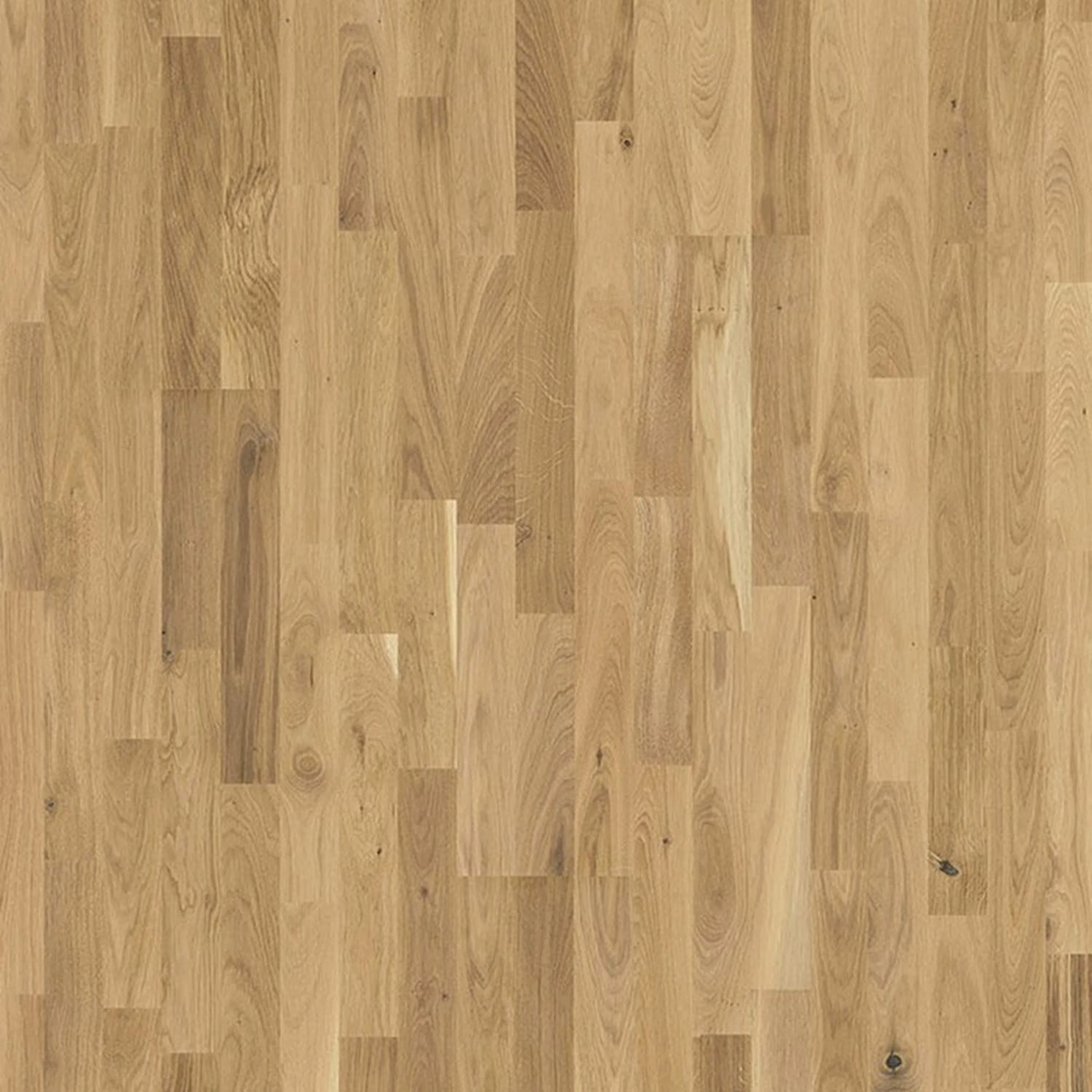 Parkettgolv Berg & Berg Ek L Vild Borstad Råträ Mattlack 3-Stav