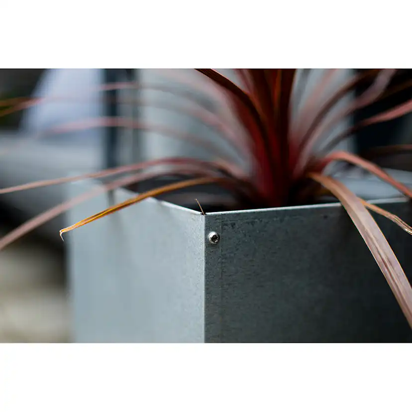 Kruka Skotte Garden Zinkplåt 25X25X30 cm