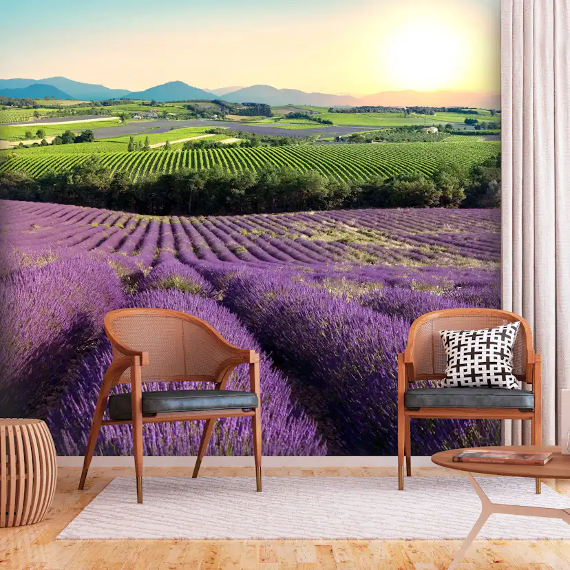 Fototapet Arkiio Lavender Field