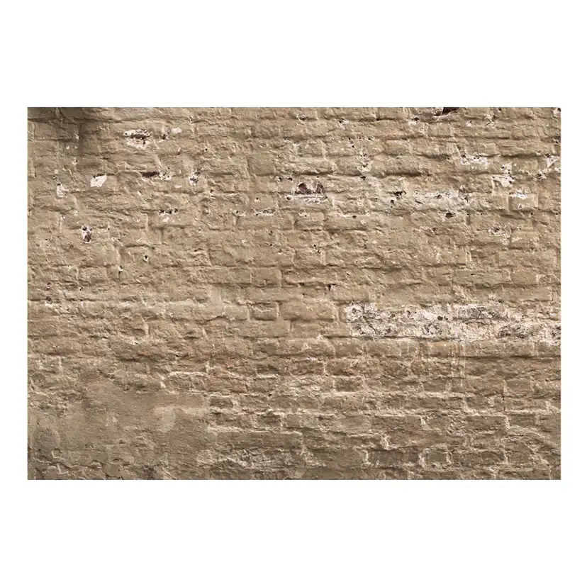 Fototapet Arkiio Urban Oasis