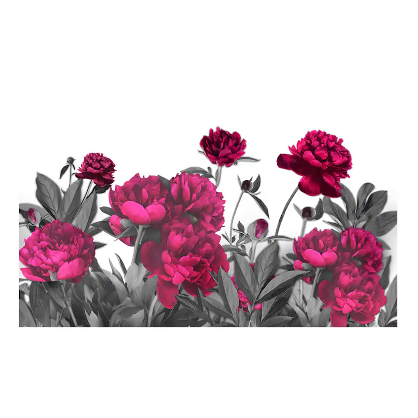 Fototapet XXL Arkiio Lush meadow 500x280 cm