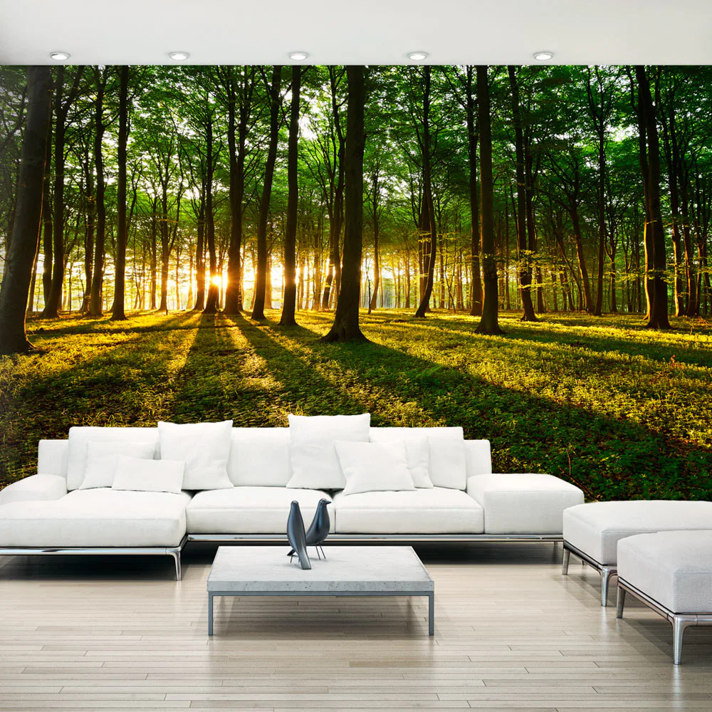 Fototapet XXL Arkiio Mystical Morning II 500x280 cm