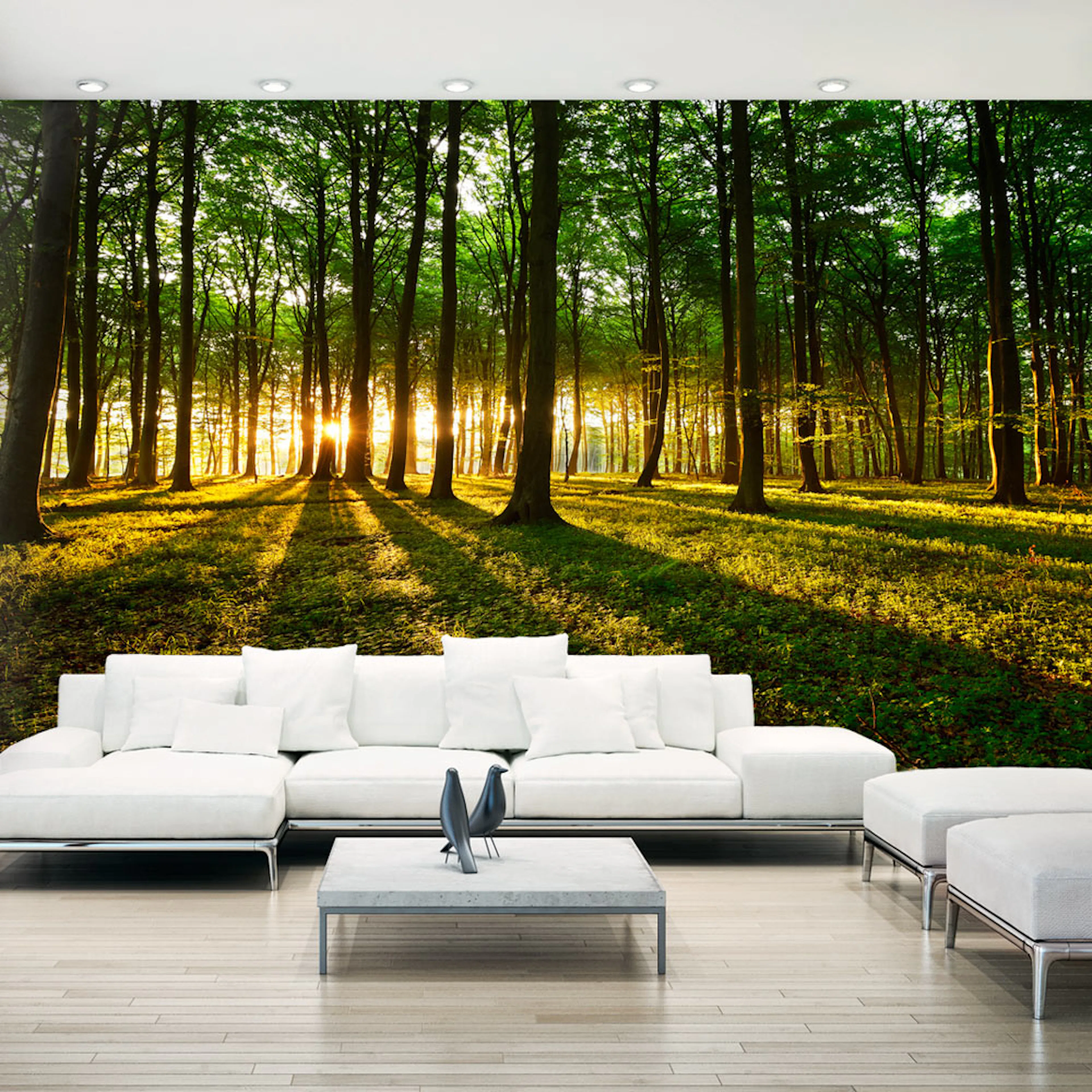 Fototapet XXL Arkiio Mystical Morning II 500x280 cm