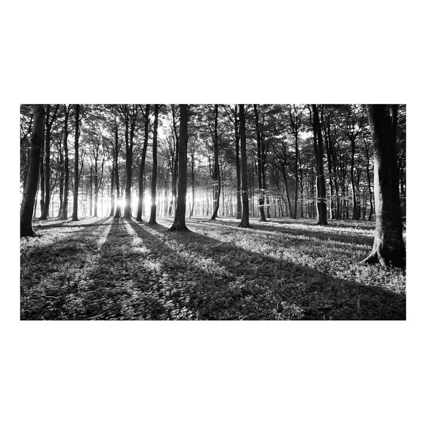 Fototapet Arkiio Självhäftande Grey Wilderness II 490x280