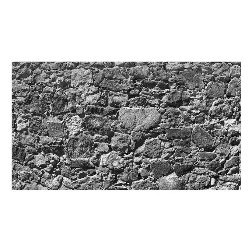 Fototapet Arkiio Självhäftande Tempus Fugit II 490x280