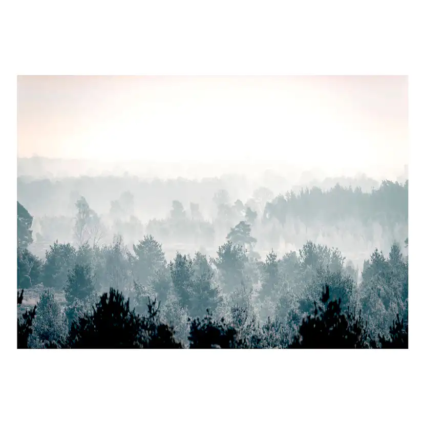 Fototapet Arkiio Winter Forest 450x315 cm