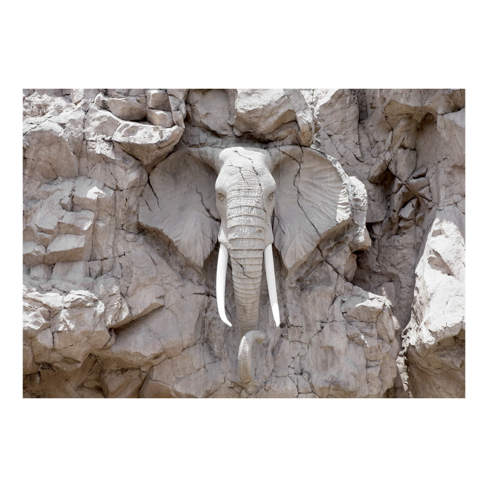 Fototapet Arkiio The Bridge Of Time South Africa 450x315 cm