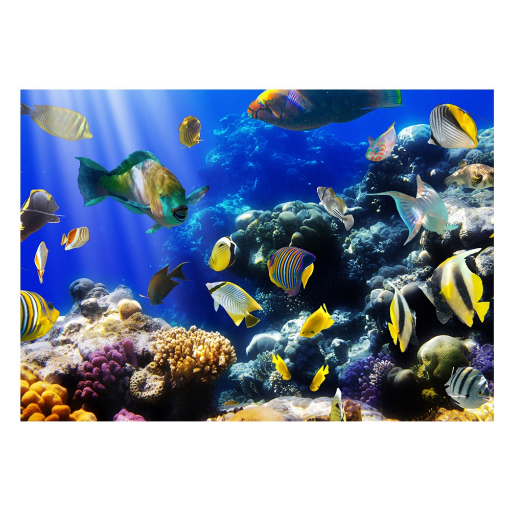 Fototapet Arkiio Självhäftande Underwater Adventure