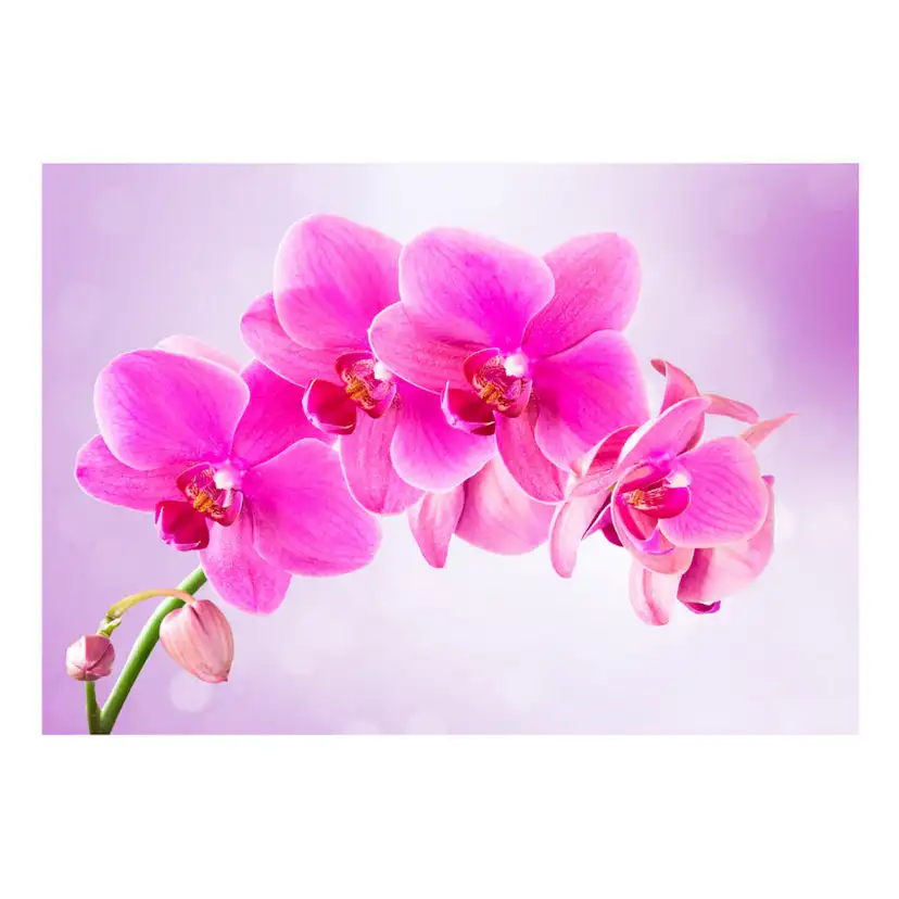 Fototapet Arkiio Självhäftande Thoughtfulness