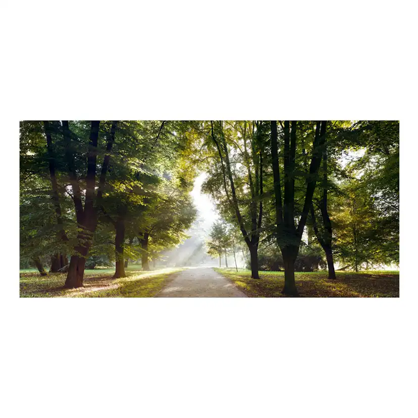 Fototapet Arkiio Självhäftande Morning Walk III 588x280