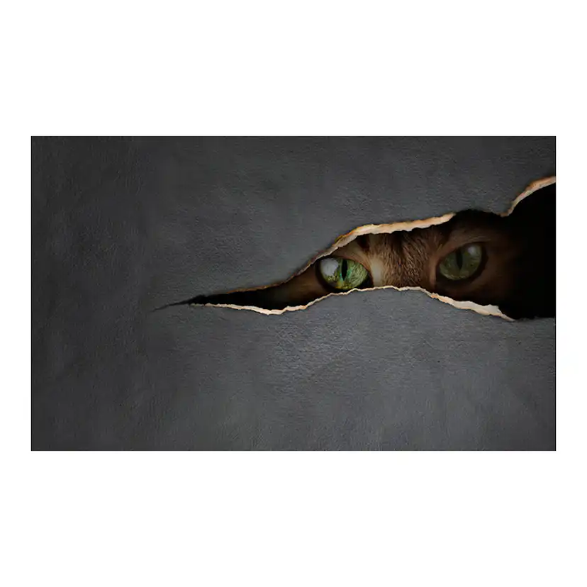 Fototapet Arkiio Kattens blick 450x270 cm