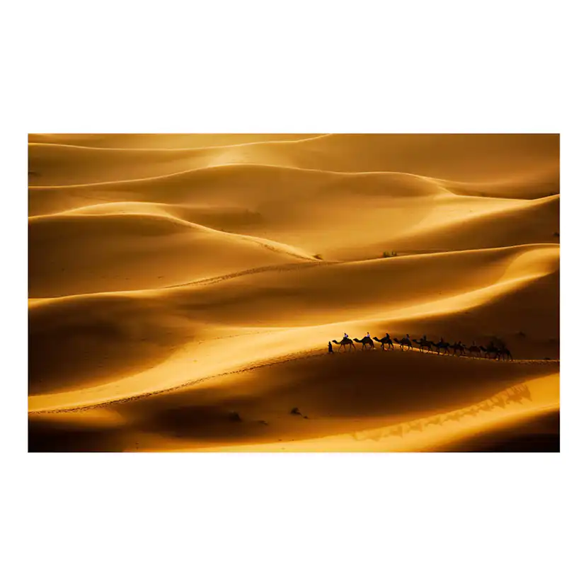 Fototapet Arkiio Karavan av kameler 450x270 cm