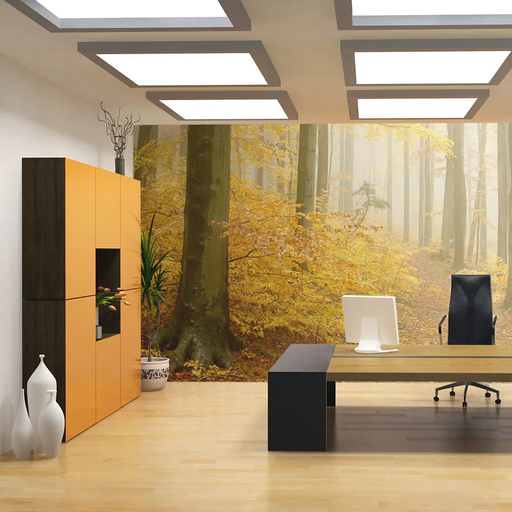 Fototapet Arkiio Skog Höst