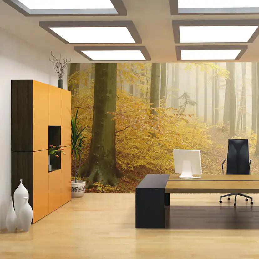 Fototapet Arkiio Skog Höst