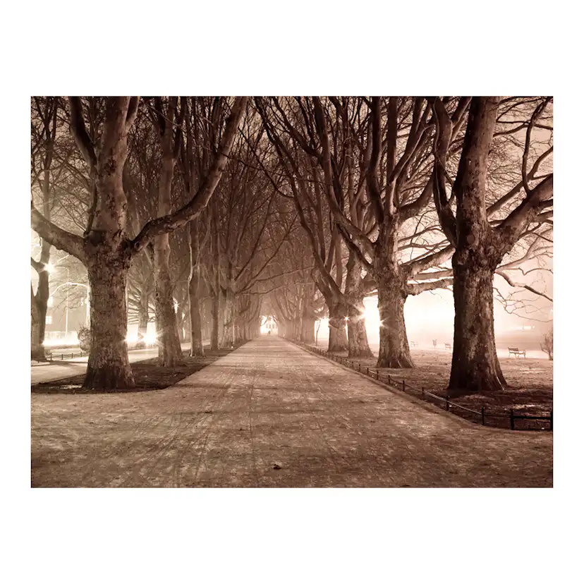 Fototapet Arkiio Park Gränd