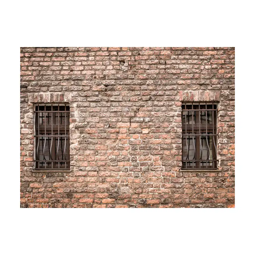 Fototapet Arkiio Fångad I Verkligheten