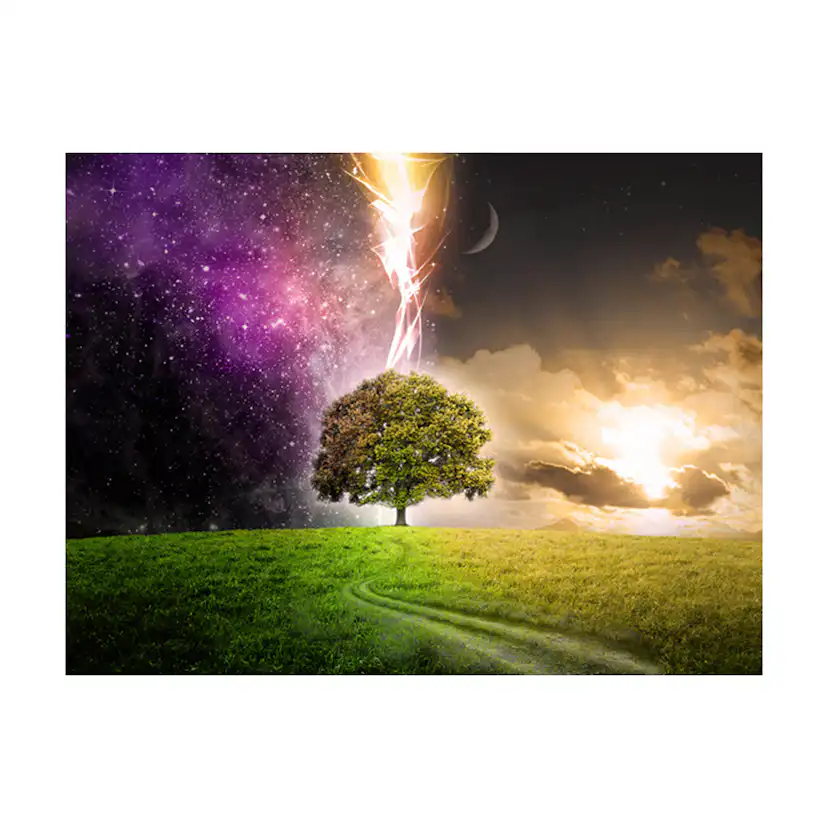 Fototapet Arkiio Magic Tree