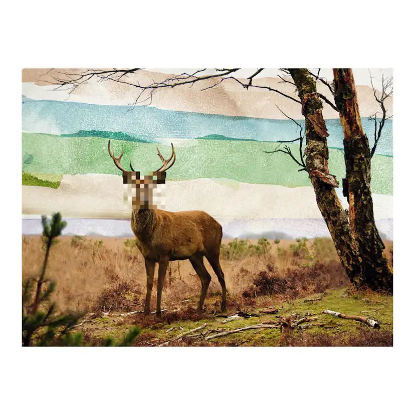 Fototapet Arkiio Skog Flykting